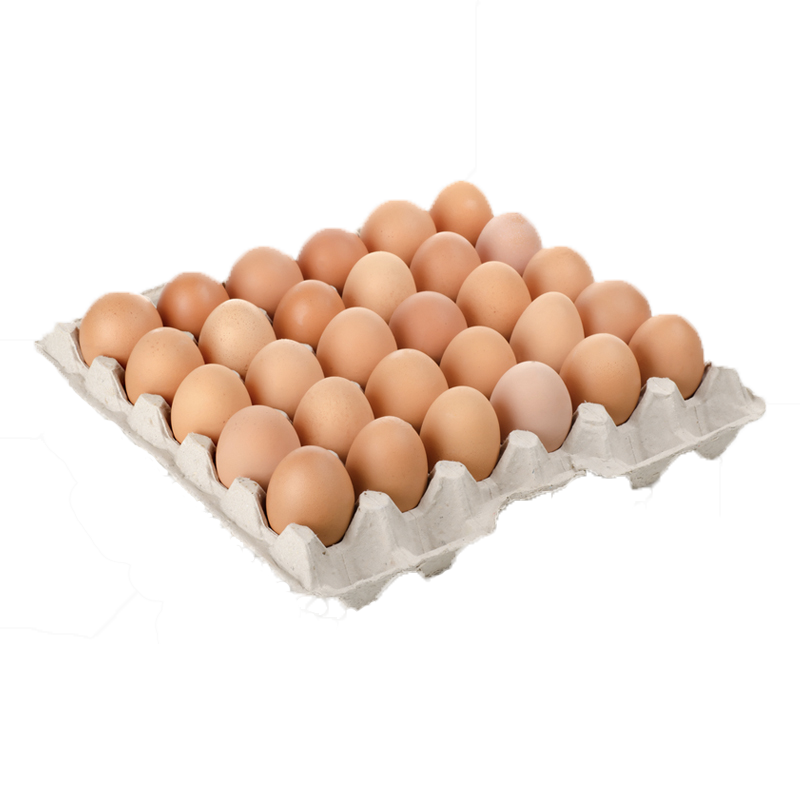 30'lu Organik Yumurta (Sadece Kocaeli içi)