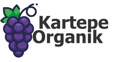 ilkLogo